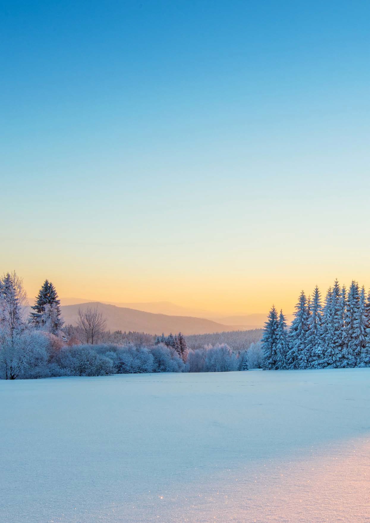 L’Étoile d’Argent | New Apartments for Sale in Châtel: photo of snowy alpine sunset view